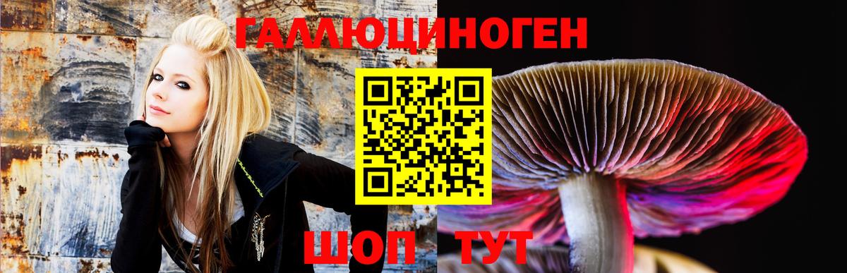Галлюциногенные грибы мухоморы  Вход с VPN  Мелеуз 
